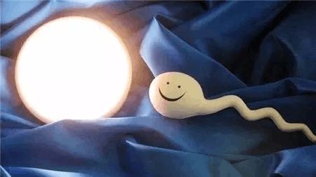 生殖医学科